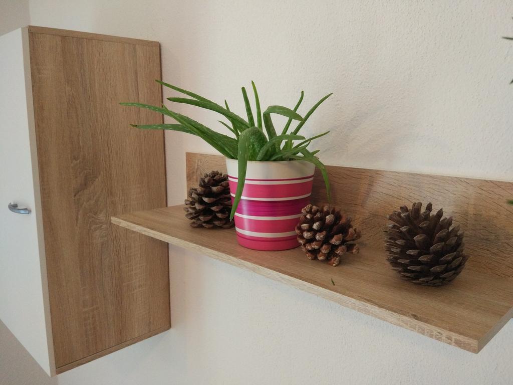 Apartment Tome Biograd Na Moru Εξωτερικό φωτογραφία